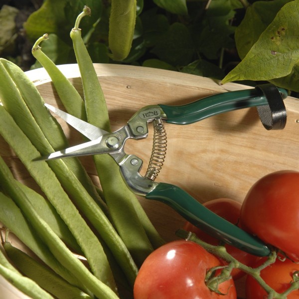 Blumen- und Obstschere von Burgon & Ball