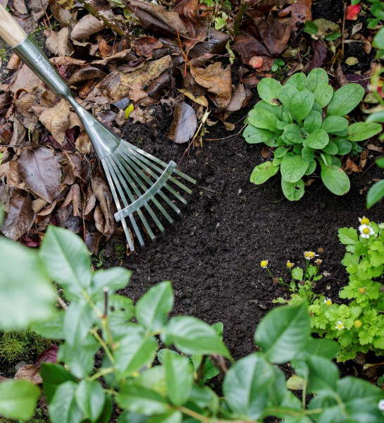 Harke | Rechen lang - für 'dazwischen'