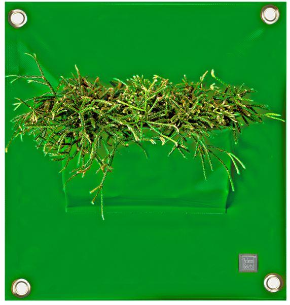 Hänge-Pflanztasche PEVA | Grün