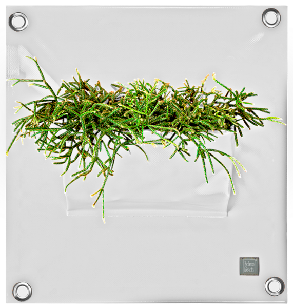 Hänge-Pflanztasche PEVA | Weiß