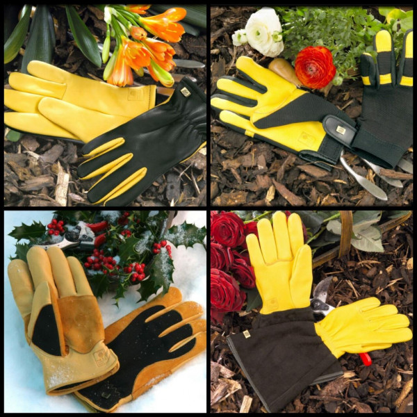 Robuste und bequeme Gartenhandschuhe aus Leder | Die Gold Leaf - Collection