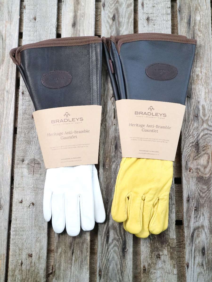 LederRosenGartenHandschuhe • Damen • Herren
