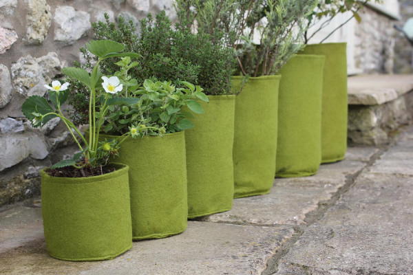 Die verschiedenen Größen der Vigoroot-Pflanztaschen | von Haxnicks