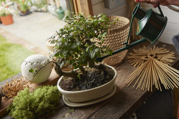 Haws Plastic Handy Can 0,7 Liter | grün