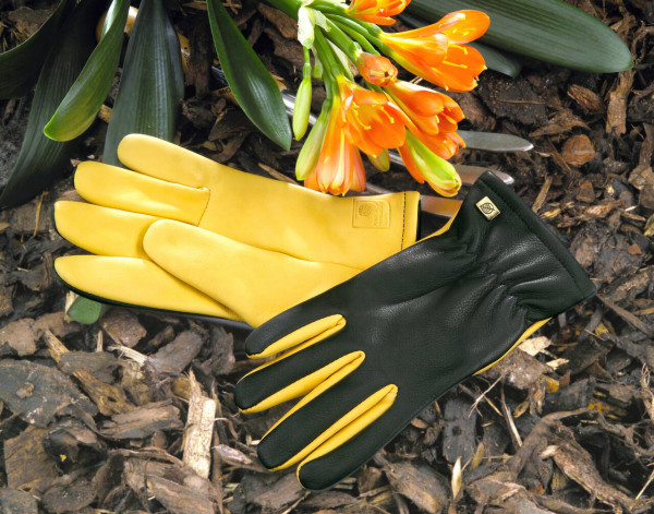 Weich gefütterte Leder-Gartenhandschuhe | Dry Touch™ von Gold Leaf