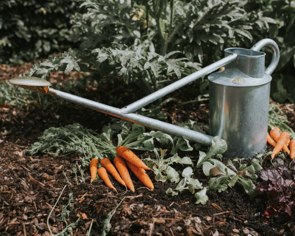 HDG Long Reach Can | 2 Gallon - ca. 9 Liter | von Haws