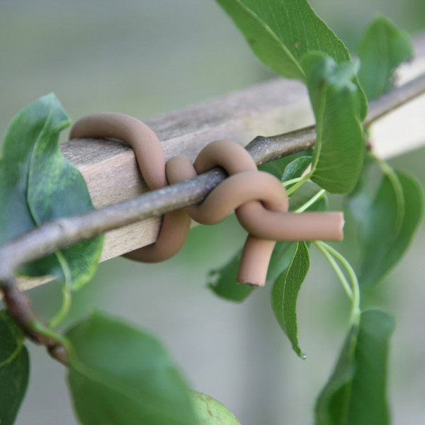 Original Soft-Tie, Woody