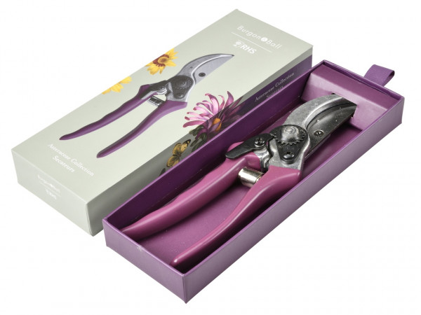 Sommeraster Präsentbox | Gartenschere | geöffnet