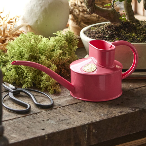 Haws Zimmergießkanne Pot Waterer 1 Pint | Rosa Pfeffer