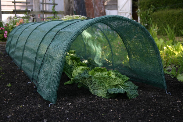 Easy Net Tunnel, von Haxnicks