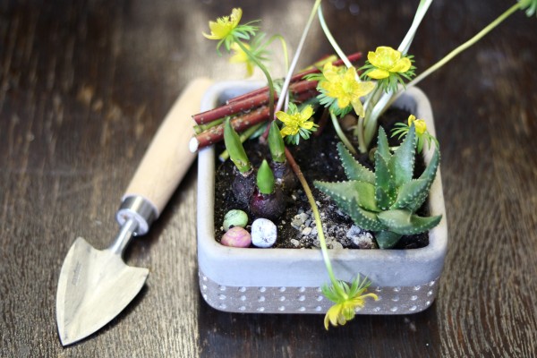 Meraki Pflanzschale im Frühling, mit der Indoo-Pflanzkelle von Sneeboer