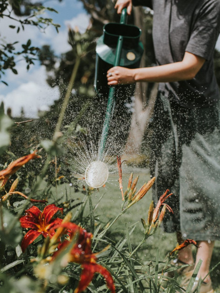 Haws Professional Long Reach Can | 2 Gallon