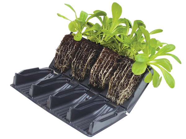 4er-Reihe Pflanzzellen des Rapid Rootrainers