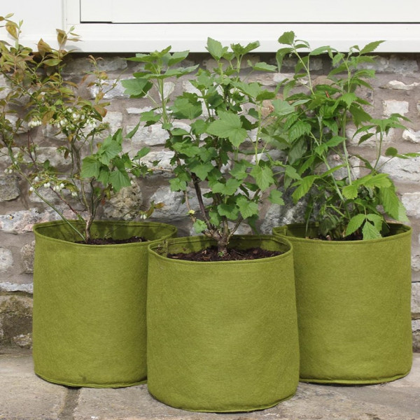 Vigoroot Pots 20 Liter | 3er-Pack