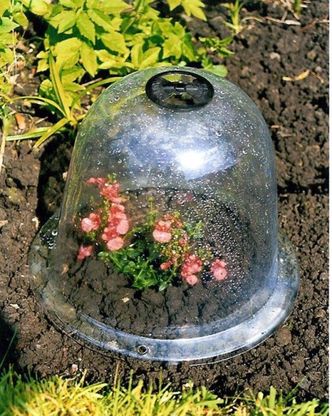 Garten-Glocken, Pflanzglocken, aus Kunststoff, Cloches