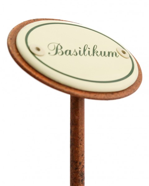 Kräuterstecker Basilikum seitlich