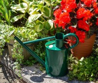 : Haws Traditional Can 2 : Haws Traditional Can 2 Gallon