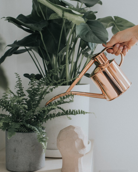 Haws Pot Waterer 2 Pint | Zimmergießkanne | in Kupfer