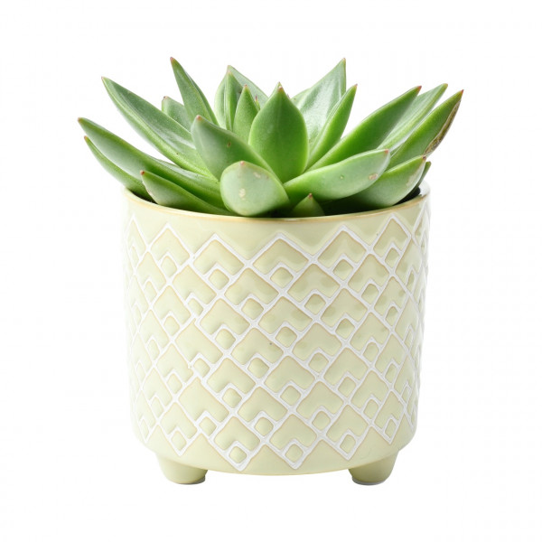 Zimmerpflanzen-Übertopf BILBAO JADE, klein
