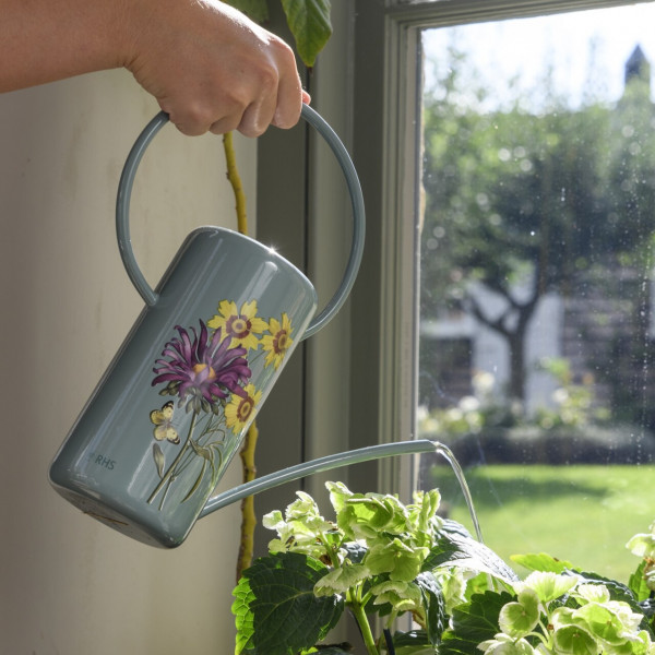 Burgon & Ball Zimmergießkanne | Sommeraster