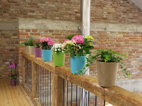 Auch stehend sind die die bunten Hängetöpfe eine Augenweide.