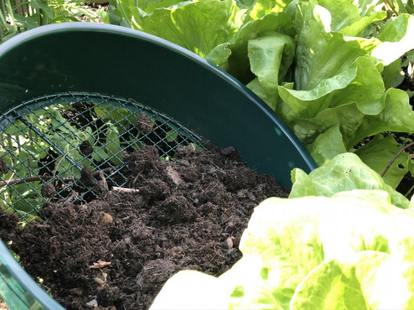 Rüttelsieb, groß | aus Metall | Maschenweite 6,35 mm