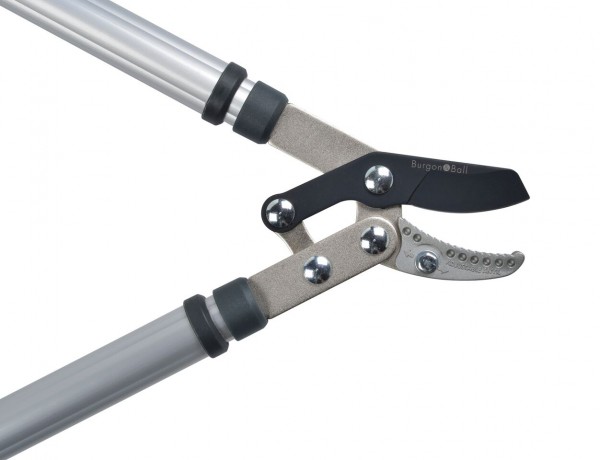 Amboss-Astschere / Klinge trifft Amboss