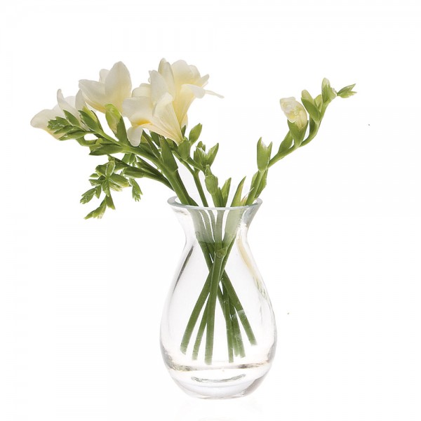 Glas-Väschen George 2