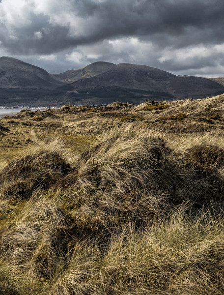 Murlough Bay - wo die Mourne Mountains auf die Irische See treffen