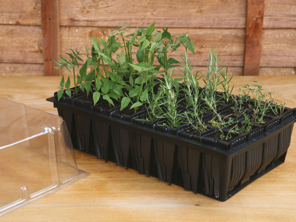 Rapid Rootrainer von Haxnicks