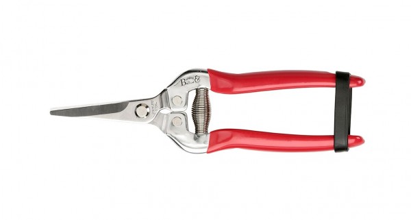 Blumenschere British Bloom