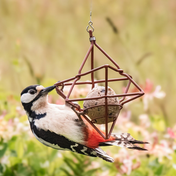 Schwedenroter Meisenknödel-Halter | Metall - hochwertig pulverbeschichtet