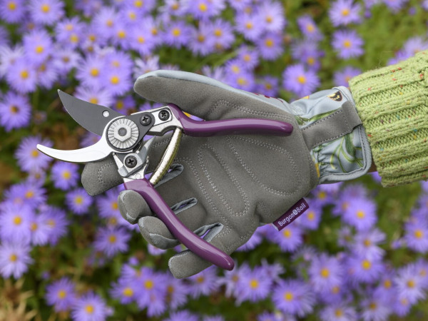 DIE KLEINE Sommeraster-Gartenschere