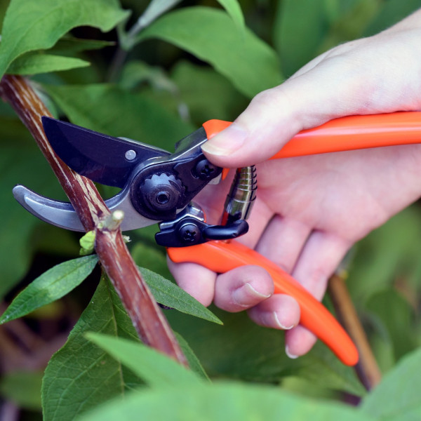 Mikro - Gartenschere | Burgon & Ball