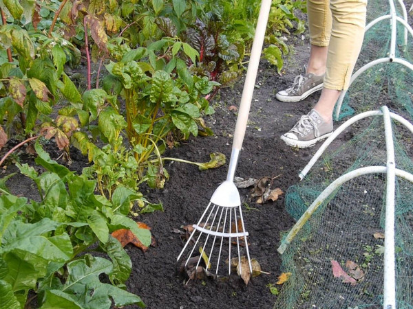 Kultivier-Rechen | von Burgon & Ball