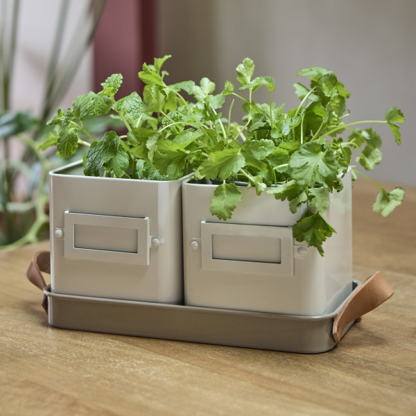 Kräutertöpfe 2er-Set | helles Beige | von Burgon & Ball