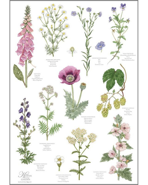 Geschirrtuch 100% Bio-Baumwolle | Design Klostergarten