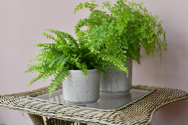 Indoor-Töpfe PROVENCE klein und groß | von Burgon & Ball