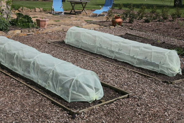 Easy Pflanztunnels Micromesch
