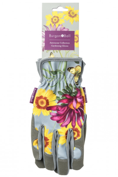 Gartenhandschuhe Sommeraster | Asteraceae - Korbblütler | Burgon & Ball