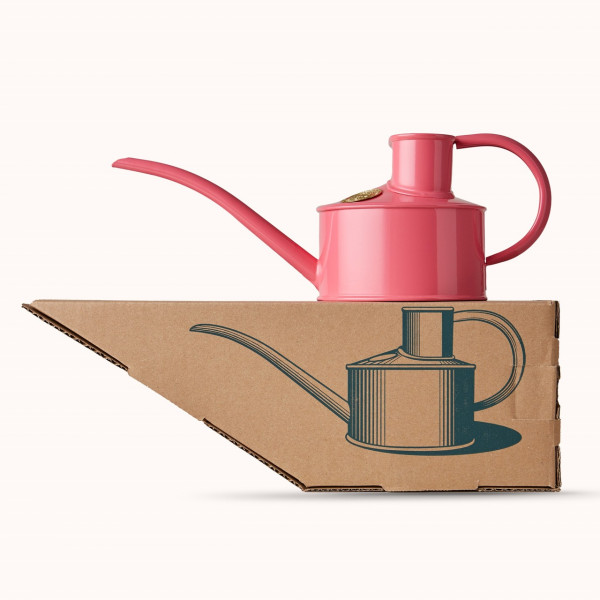 Haws Zimmergießkanne Pot Waterer 1 Pint mit Geschenk-Verpackung | Rosa Pfeffer