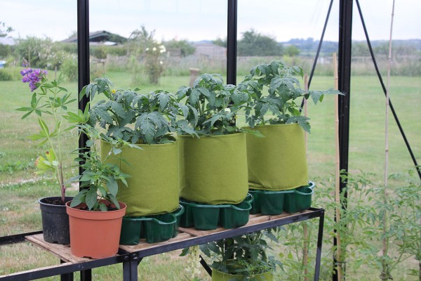 Vigoroot-Töpfe mit Wasserspeicher-Untersatz