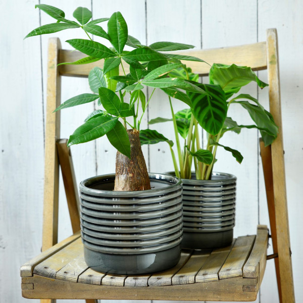 Dezent grau glänzende Indoor-Töpfe OSLO | groß und klein