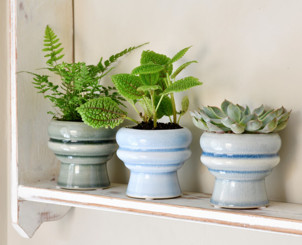 Sukkulenten-Töpfe Florenz | von Burgon & Ball