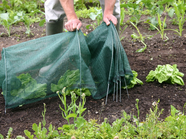 Leicht auf- und wieder abzubauen