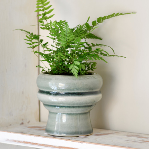 Burgon & Ball Sukkulenten-Topf Florenz | Grün