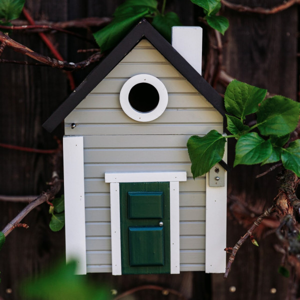 Vogelhaus | 2 in 1 | Graue Villa | Nistkasten von Wildlife Garden