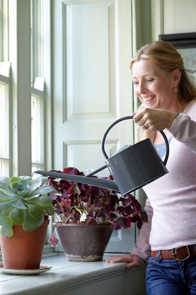 Zimmergießkanne glänzend grau