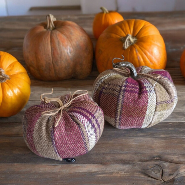 Stoffkürbis | Design Balmoral-Karos | von Moose & Co. | aus Wales