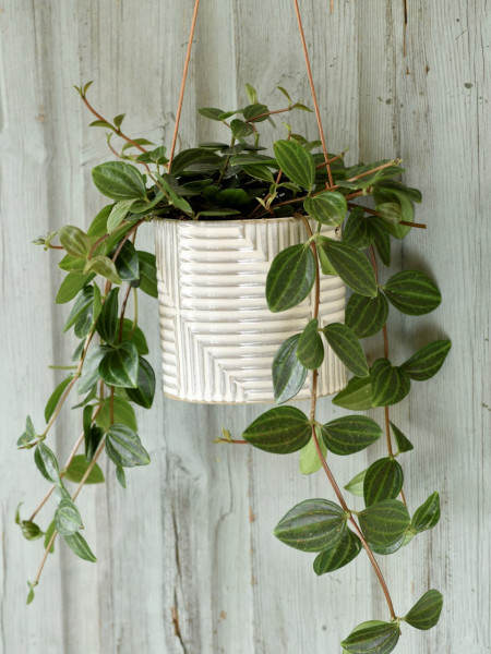 Hangetopf Modena | von Burgon & Ball